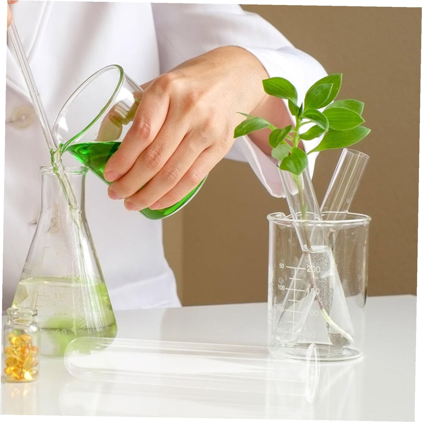 STAHAD Glass Hydroponic Vase Plant Propagation Tubes 5pcs 2.5x3x15cm Test Tubes for Small Terrarium Plants Home Desk Decoration