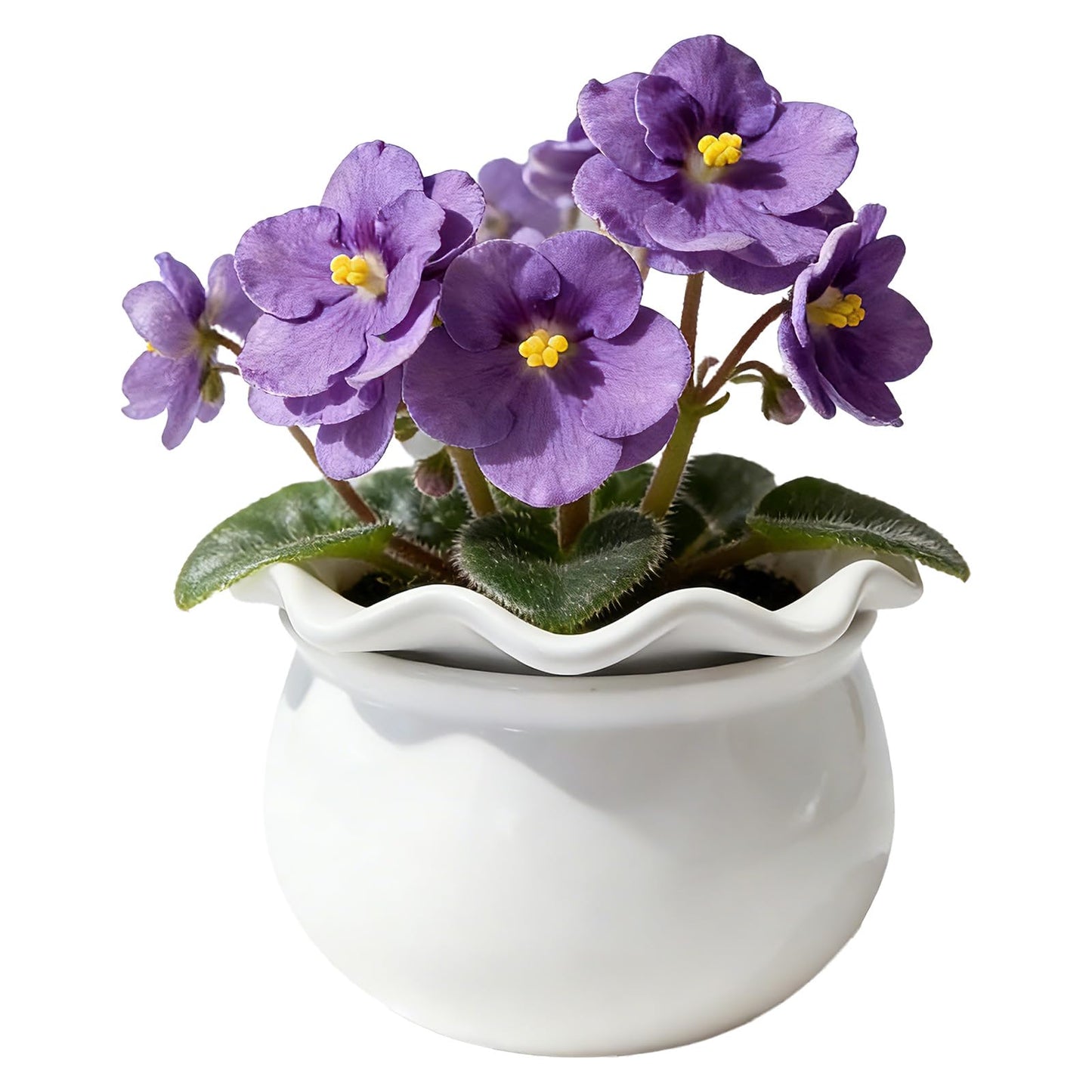 Sanmudecor Self Watering Planter Pot for African Violets, White Ceramic Indoor Plant Pot with Bottom Watering System, 7"