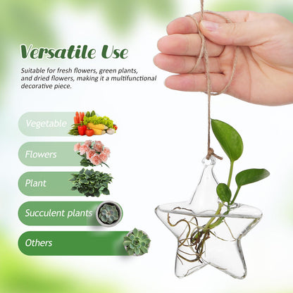 NUOBESTY Hanging Glass Flower Vase Hydroponic Glass Planter Marine Shape Small Terrarium Pot for Indoor Plant Propagation Home Décor