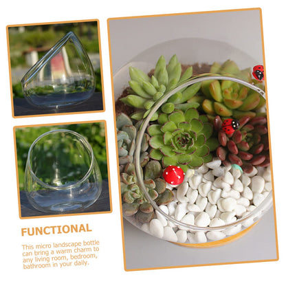 VICASKY Glass Landscape Bottle for and Air Plants Multi-Purpose Terrarium Container for Home Decor and Creative Displays