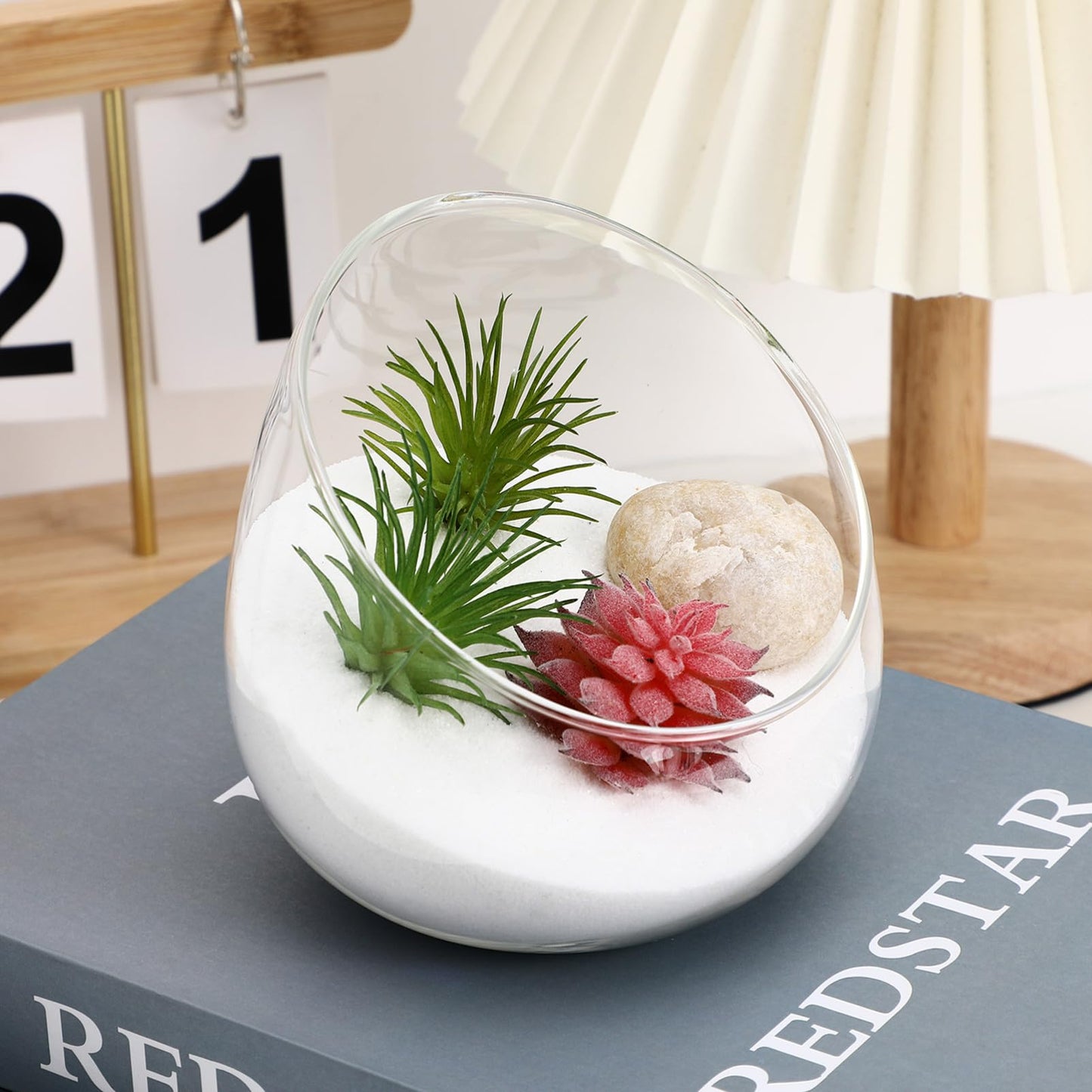 Clear Slant Cut Bubble Bowl Glass Vase Bowl Round Terrarium Orb Candy Dish Fruit Jar Floral Container for Home Office Decor