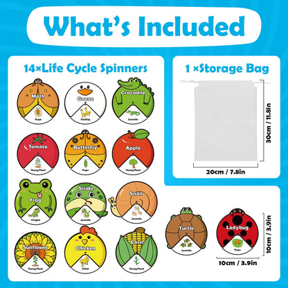 Kasfalci Life Cycle Toys for Kids,Animal Plant Insect Bug Ladybug Butterfly Tadpole to Frog Kit,Montessori Learning & Education Toys,Preschool Science Learning Activities for Toddlers,Board Card Games
