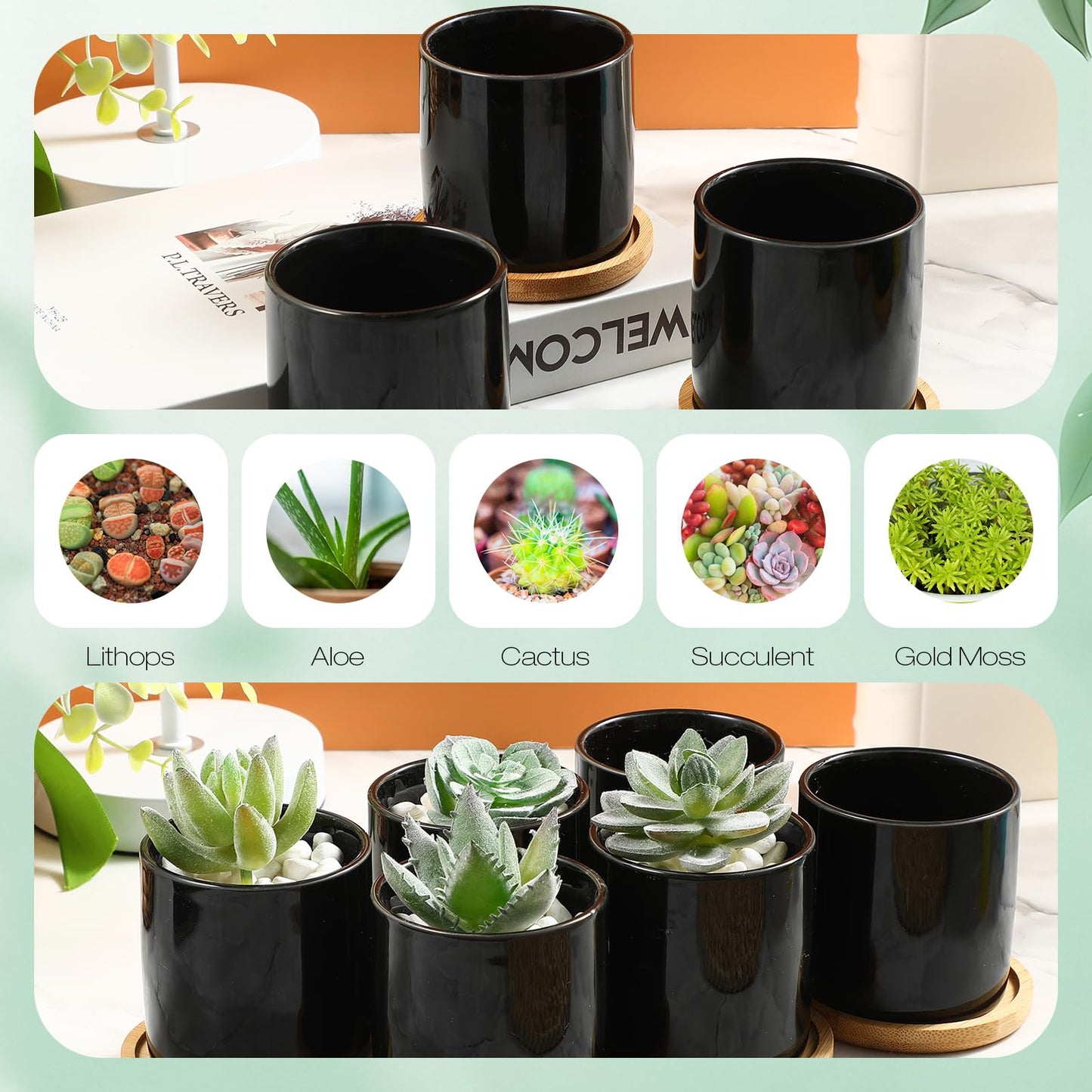 Cindeer 12 Pack Small Succulent Plants Pots 3 Inch Ceramic Flower Planter Pot and Bamboo Tray with Drainage Hole for Succulents Cactus Indoor Garden Decorations, Plant Not Included(Black)