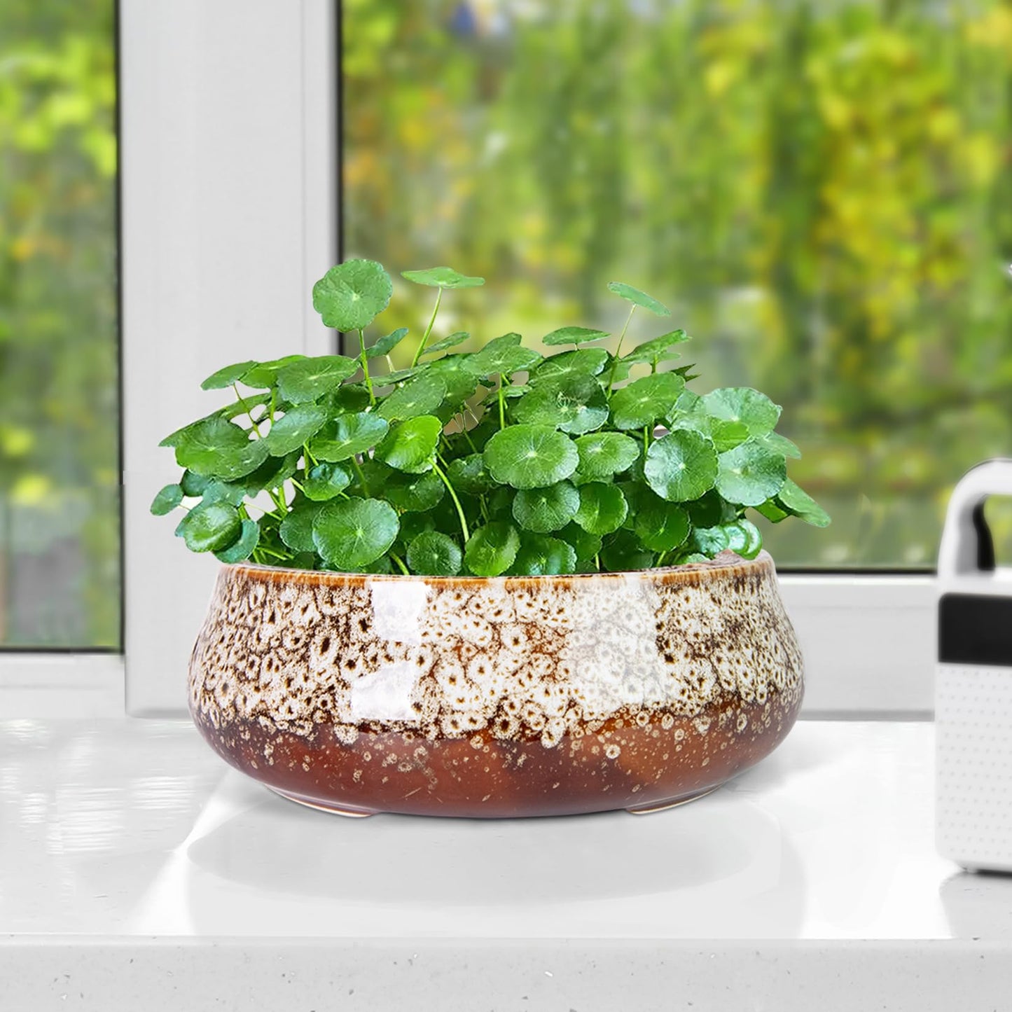 Lotus Bowl Planter - 8 Inch Large Lotus Flower Bowl for Water Plants, Ceramic Hydroponic Planter Water Lily Bowl for Planting Aquatic and Indoor Succulent Plants and Bonsai