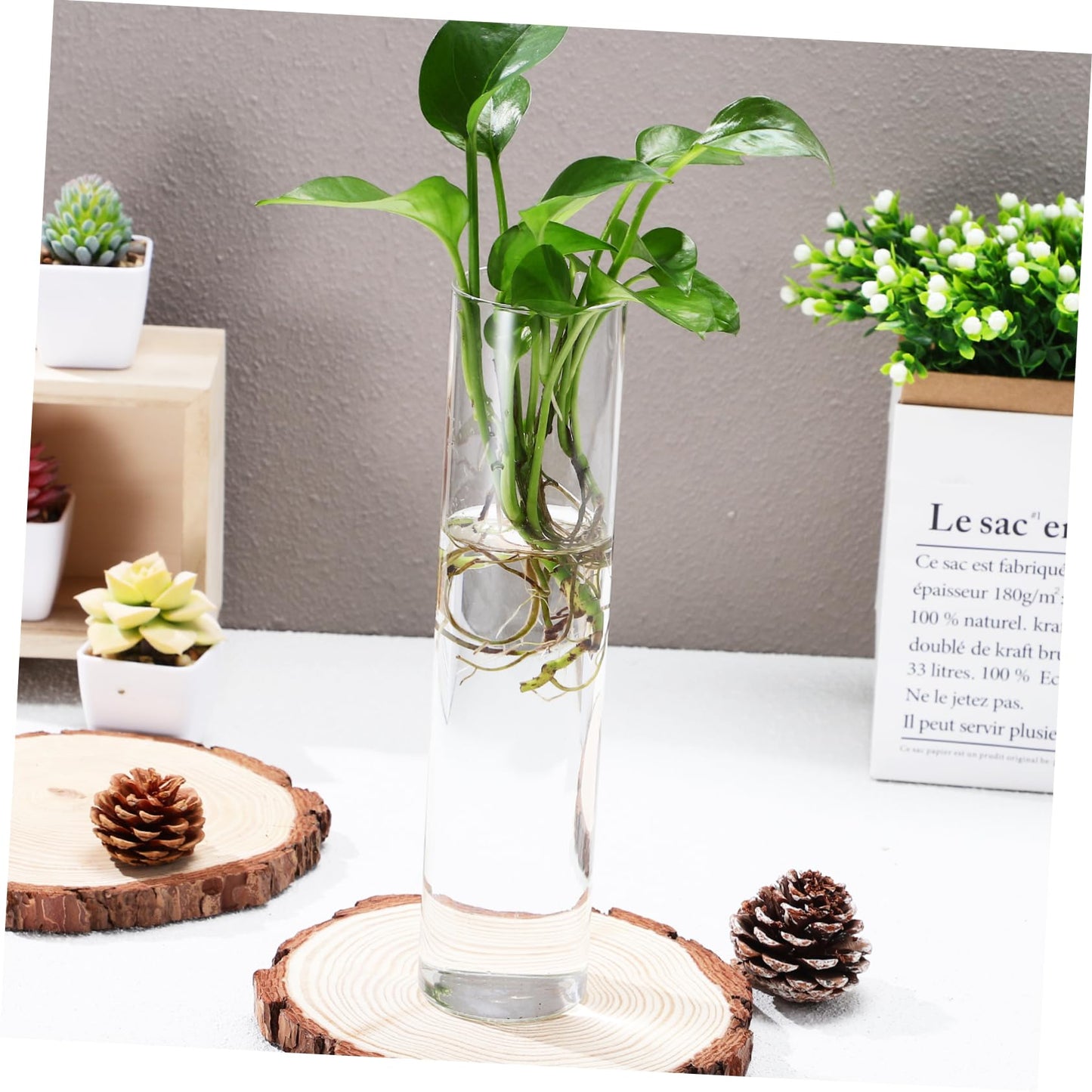 Cabilock 2pcs Cylinder Glass Wall Vase Clear Hanging Planters for Wall Propagation Stations Sleek Transparent Hydroponic Plant Terrariums for Home Decor