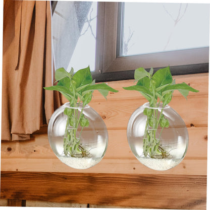 Hemobllo Wall Mounted Glass Hydroponic Vase for Plants Glass Terrarium Container Easy to Use Wall Hanging Planter for Home Office Garden Decoration