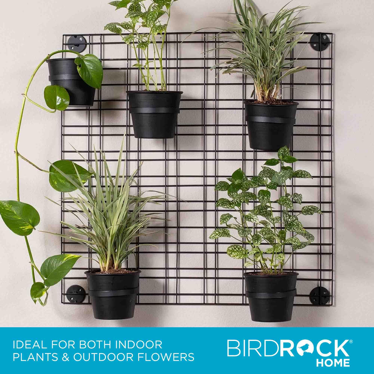 BIRDROCK HOME 6 Pot Garden Wall Grid - Flower or Succulent Planter Pots - Indoor or Outdoor Plant Organizer Rack - Black