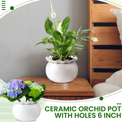 Suclain 2 Pack Ceramic African Violet Pots Self Watering Plant Pot Effortless Self Watering Plant Flower for Busy Lovers, Indoor(White,6 Inch)