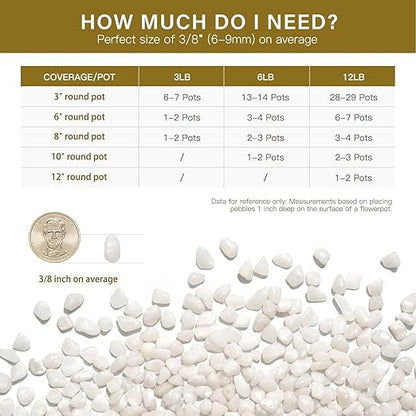 NUPICK 6 lbs Pebbles for Indoor Plants, 3/8 Inch Pea Gravel for Fish Tank, Polished Decorative Rocks for Succulent, Natural River Stones for Vases, Cactus, Landscaping, Bird Bath, Aquarium, White