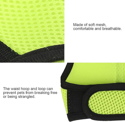 Fydun Pet Mesh Traction Harness Chest Back with Leash for Rabbit Guinea Pig Pet SuppliesS Green for Families (Fruit Green)