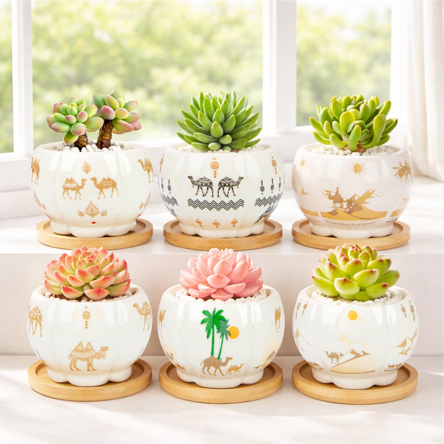 Succulent Pots - 3.1 Inch Small Plant Pots with Drainage Tray, Ceramic Flower Pots for Indoor Plants, 6 Pack Succulent Planters for Cactus Plants, Home Office Decor