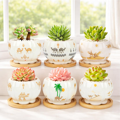 Succulent Pots - 3.1 Inch Small Plant Pots with Drainage Tray, Ceramic Flower Pots for Indoor Plants, 6 Pack Succulent Planters for Cactus Plants, Home Office Decor