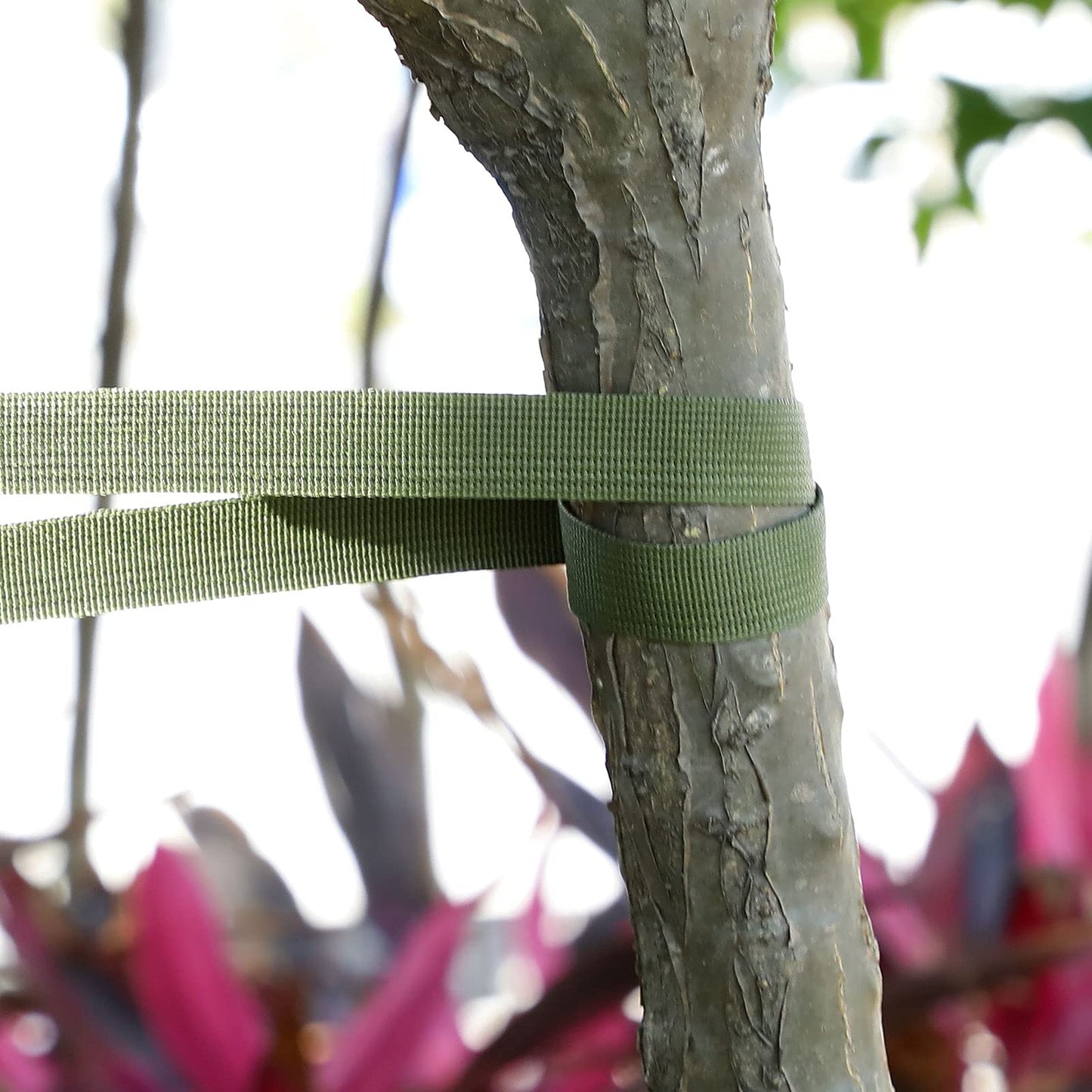 Shappy Tree Tie Strap Garden Webbing Strap Garden Plant Supports Tree Tie Staking and Guying for Outdoor Use, Plant Supports, Grafting, Straightening Supplies(Yellow Green,443 Feet x 1 Inch)
