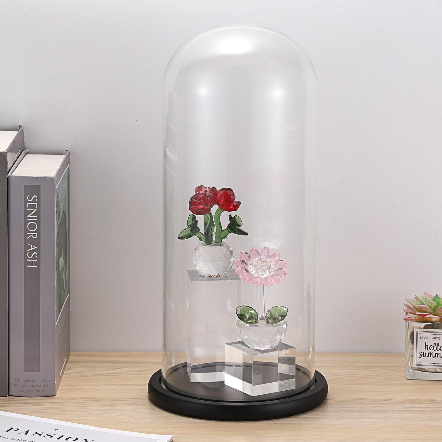 JUXYES 13.8 Inches Glass Display Dome Cloche with Black Wood Base, Clear Glass Dome Cloche Bell Terrarium Jar Glass Cloche Bell Jar Display for Plants Collectible Figure, 15x35cm