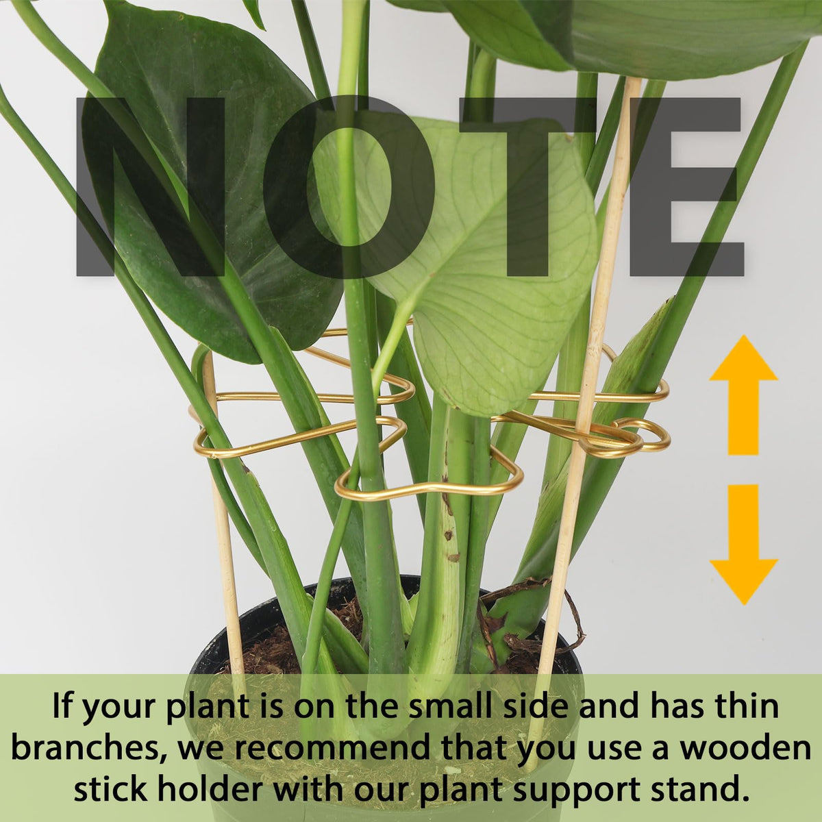 PRETTY JOLLY 5PCS Iron Monstera Plant Support Stakes Premium Plant Stand for Indoor & Outdoor Plants Practical Leaf Holders,Durable Trellis Accessories for Gardening Enthusiasts(Tree+Butterfly)