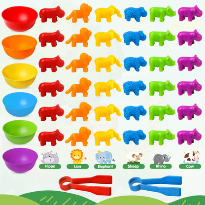 TSYAN Counting Toys Matching Game for Kids with Sorting Bowls Sensory Toys