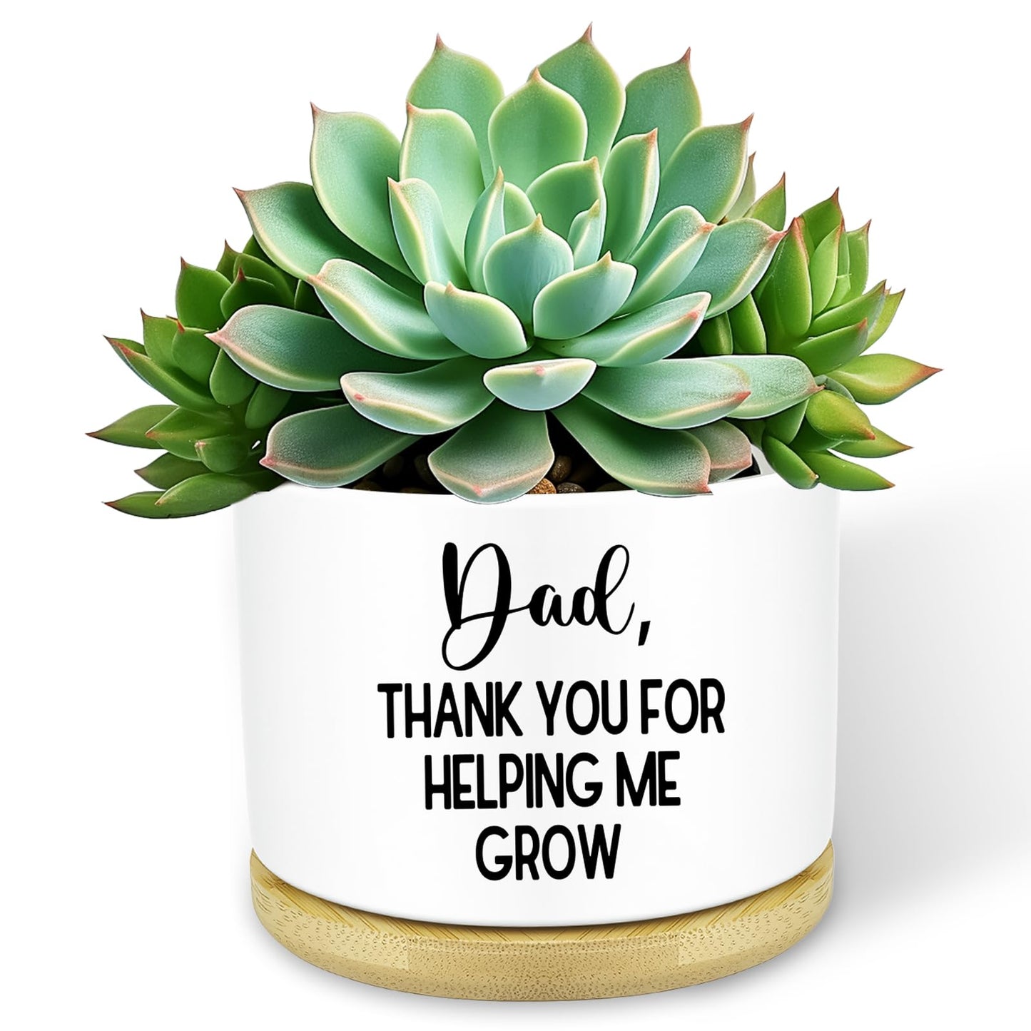 Myakako Thank You Dad Ceramic Planter with Wood Tray – 3.5 Inch Funny Flower Pot for Succulents, Cactus & Indoor Plants, Unique with Drainage Hole (Plant Not Included)