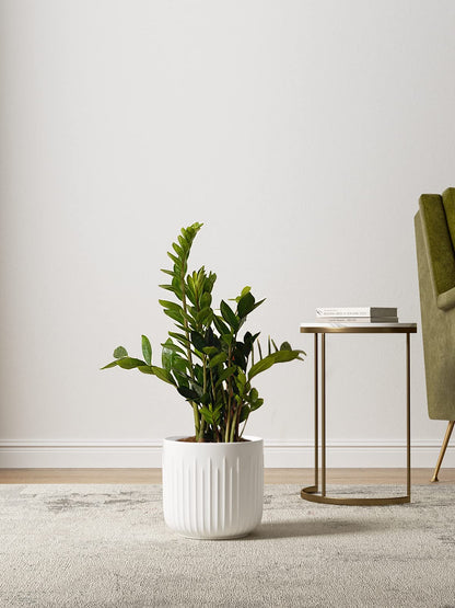 LE TAUCI Ceramic Planters, 8.3/7/6 Inch Indoor Pots for Plants with Drainage Holes & Mesh, Modern Matte Glaze Cylinder Fluted Plant Pot for Snake Plant, Set of 3, White