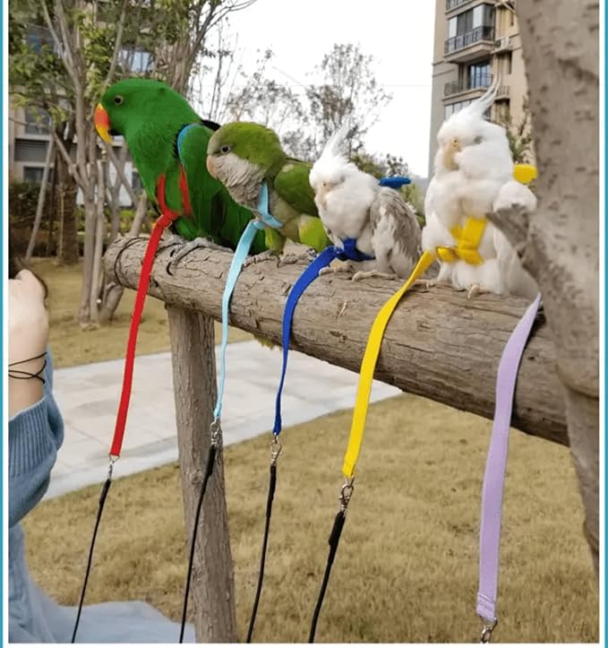 Pet Parrot Bird Harness Leash Adjustable Bird Flying Harness Traction Rope with Cute Wing for Parrots Pigeons Budgerigar Lovebird Cockatiel Mynah Outdoor Training Toy (S, Yellow)