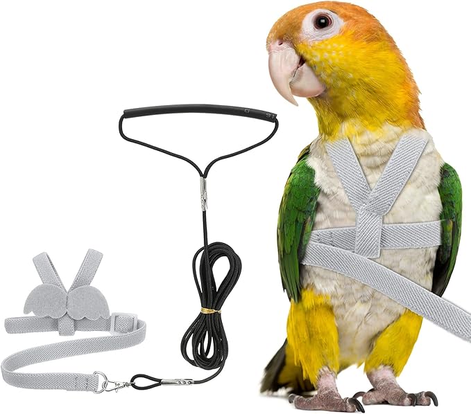 Bird Harness Leash, Adjustable Pet Parrot Bird Harness and Leash Lightweight Anti-Bite Flight Training Rope with Cute Wing, (Gray, S), Intended for Parrots/Pigeons/Budgies