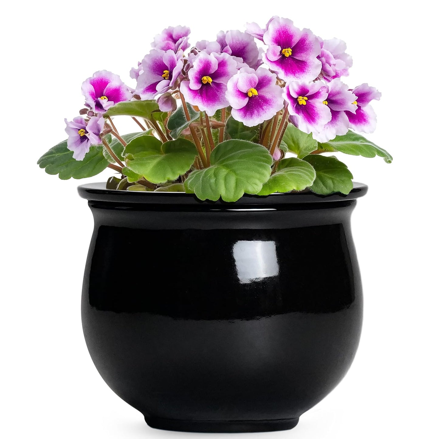 Teagas Ceramic African Violet Self Watering Pots, 6 Inch Self Watering Plant Pot with Absorbent Inner Pot, Flower Pots for Indoor Plants, Round Ceramic Planter, Home Decor, Plant Lover Gifts, Black