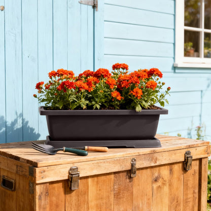 TAICHEUT 3 PCS 14 Inches Plastic Bonsai Training Pots, Rectangular Bonsai Tree Pots with Trays, Large Plastic Bonsai Container for Indoor, Outdoor
