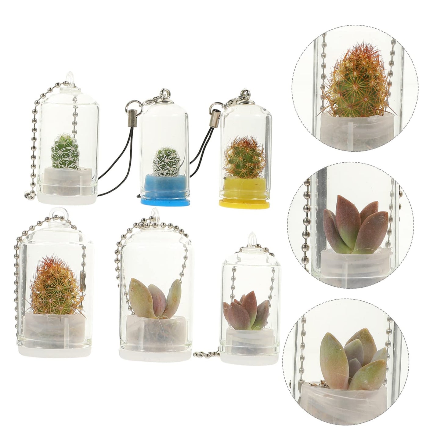 ifundom 6Pcs Miniature Glass Terrarium Keychain Pendant for Air Plants Miniature Vases Accessories for Plant Propagation and Home Decor