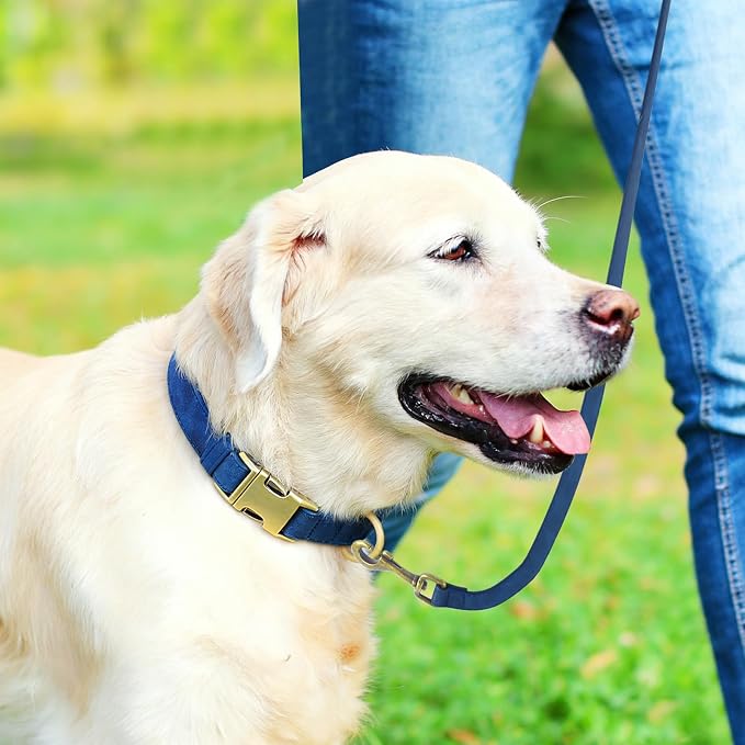 Genuine Leather Dog Collar - Adjustable Pet Collar with Quick Release Metal Buckle, Soft Skin Friendly Real Leather Collar for Small, Medium, Large Dogs (Blue Collar + Rope, M：Fit 12-20" Neck)