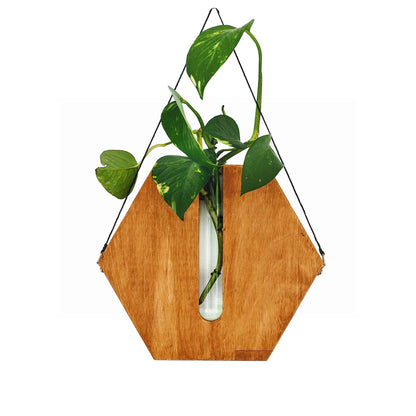 POTRUWE Wooden Wall Hanging Planter Flower Tube Vase, Wall Propagation Planters Glass Plant Terrarium Cylinder Buds Vase Flower Pots Wall Decor for Living Room (Brown)