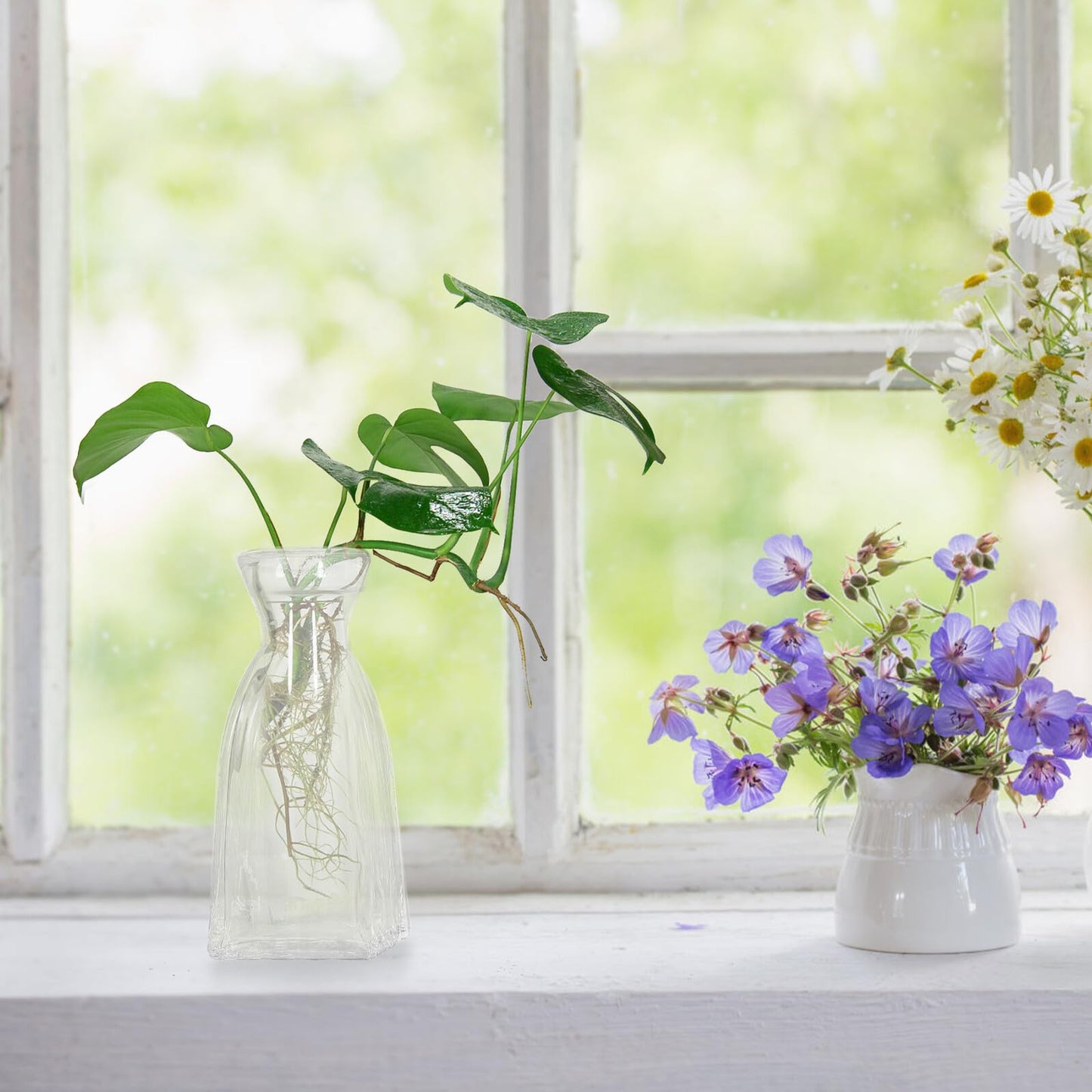 SUPVOX 4pcs Small Glass Hydroponic Vases Decorative Desk Flower Vases for Table Centerpieces Home Décor Glass Plant Terrarium Bottles
