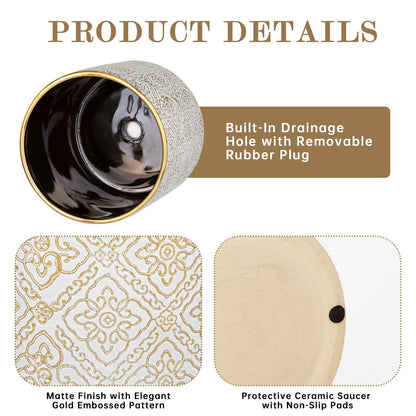 Ceramic Plant Pots with Drainage Hole & Saucer, White & Gold Ceramic Planter Pot for Indoor & Outdoor Use, 5.5" Small Plant Pots Decorative Flowerpots for Succulents, Herbs, Cactus, Orchids Planter