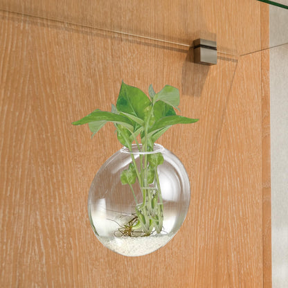 HOMSFOU Wall Mounted Glass Terrarium Vase for Hydroponic Plants, Hanging Plant Holder for Indoor and Outdoor Home Décor,