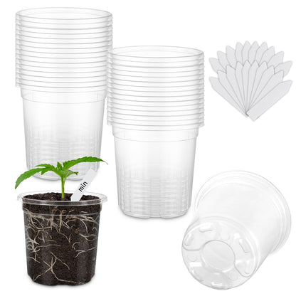 WandaQueen 30 Packs 3.5 Inch Reinforced Clear Nursery Pots for Plants with Drainage Holes, High Transparency Planting Plastic Seedling Pots, Seedling Planter Seed Starter with 20 Plant Labels