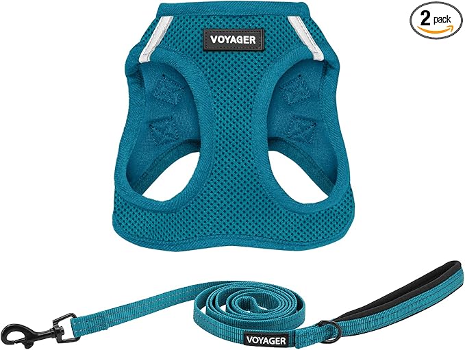 Best Pet Supplies Voyager Step-in Air All Weather Mesh Harness and Reflective Dog 5ft Leash Combo with Neoprene Handle, for Small, Medium and Large Breed Puppies - Turquoise, Medium