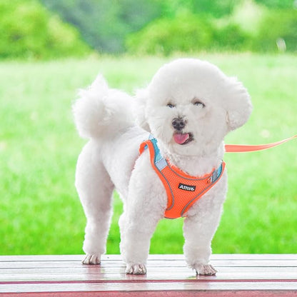 AIITLE Easy Walk Dog Harness and Leash Set - Pet Supply No Pull, Step in Adjustable Dog Harness with Padded Vest, Dog Harness No Choke Over, Easy to Put on Medium Dogs Orange L