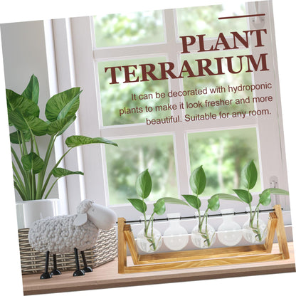 BESPORTBLE Wooden Stand Plant Propagation Glass Vases for Hydroponic Plants Terrarium for Home Decor