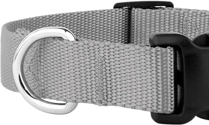 Country Brook Petz - Everyday Nylon Dog Collar and Leash - 10+ Cool Colors (3/8 Inch, 2XS, Silver)