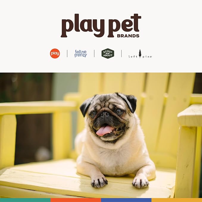 P.L.A.Y. Stuffed Dog Toys, ECO Bones - Extra Durable Squeaker Chew Toy, Great for Teething Puppies & Small, Medium, Large Dog Breeds - Machine Washable, Recycled Materials (Scout & About, Small)
