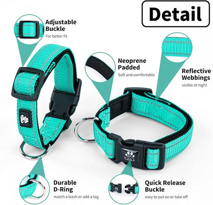 NESTROAD Dog Collar and Leash Set,Reflective Dog Collars with Quick Release Buckle,Adjustable Nylon Pet Collar for Small Medium Large Dogs(Small,Teal)