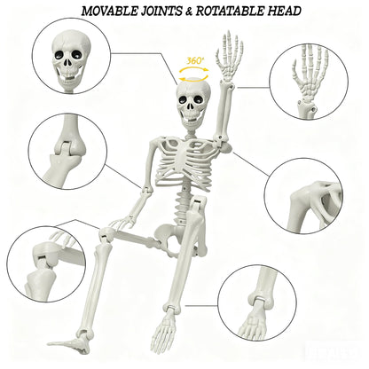LUKBERA 2 Pack 3 ft Halloween Skeleton Posable, 36” Full Body Human Skeleton with Movable Joints for Halloween Haunted House Graveyard Party Scary Indoor Outdoor Decor