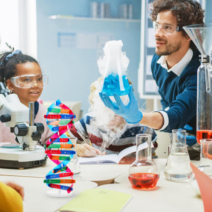 NUOBESTY Educational DNA Double Helix Model Kit for Kids Interactive Biology Science Toy for Hands-on Learning 14.56 Inch DNA Structure Teaching Aid for Classroom and Home