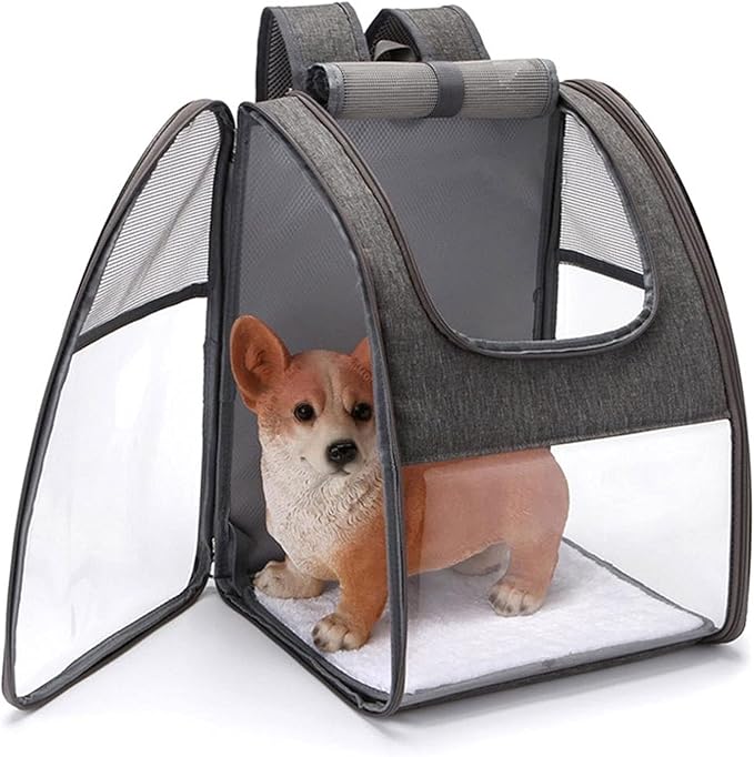 CHICKEN Birdcage Bird Parrot Travel Cage Foldable Portable Backpack Pet Parrot Cat and Dog Backpack Easy to Transport and Archive Outdoor Travel Supplies Bird Cages for Parakeets