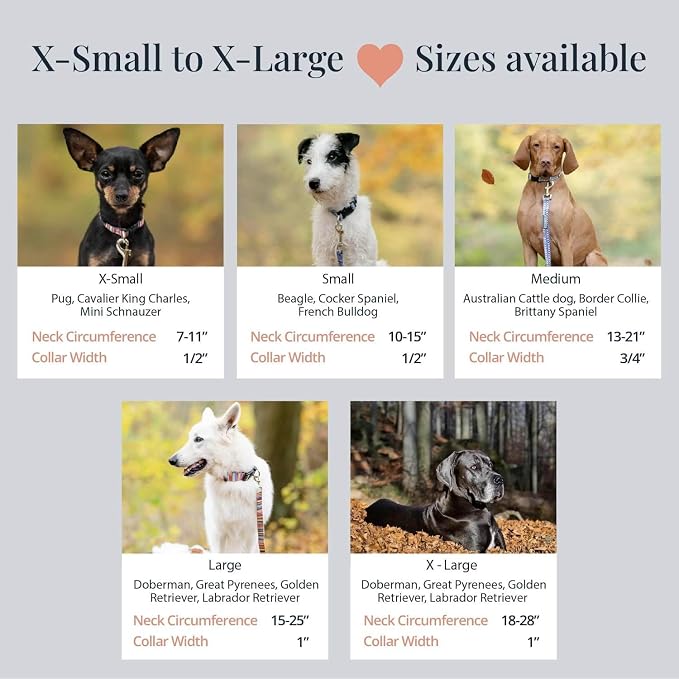 Lucky Love Dog - Adjustable Dog Collar with Easy Click Buckle for Small Dogs, Durable, & Comfortable for Male & Female Dogs, Pet Collar for Puppies & Adult Ones - Nacho, Small