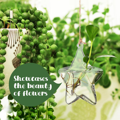 NUOBESTY Hanging Glass Flower Vase Hydroponic Glass Planter Marine Shape Small Terrarium Pot for Indoor Plant Propagation Home Décor