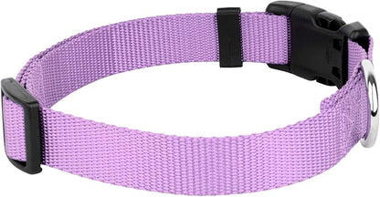 Country Brook Petz - Everyday Nylon Dog Collar and Leash - 10+ Cool Colors (3/8 Inch, 3XS, Lavender)
