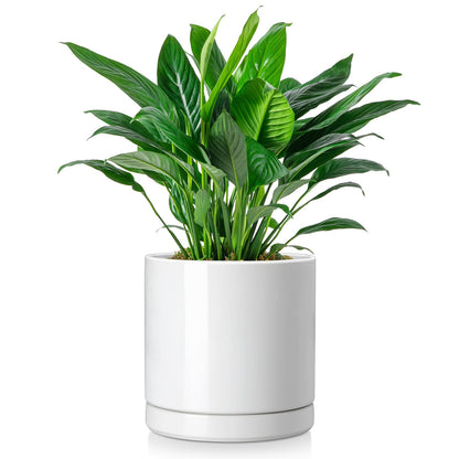 vancasso Ceramic Plant Pots, 8.25 Inch Ceramic Pot for Plants, Planters Pots for Indoor Plants with Drainage Holes, Flower Pot for Indoor House Plant, White