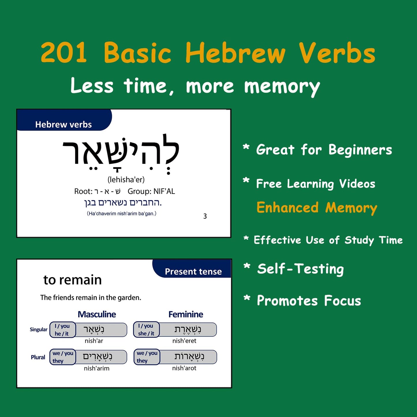 201 Basic Hebrew Verbs Flash Cards - Biblical Educational Jewish Language Learning Flashcards