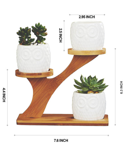 FLOWERPLUS Planter Pots Indoor, 3 Pack 3 Inch White Ceramic Decorative Small Owl Succulent Cactus Flower Plant Pot with Tree Tier Bamboo Stand for Garden Kitchen Home Office Desk Decorations