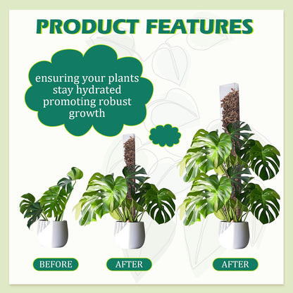 Quzzil 10 Pieces Plastic Moss Pole for Monstera Including 4 Pcs 24 Inch Clear Plant Poles for Indoor Climbing and 6 Pcs 15 Inch D Shape Stackable Plant Support Kit Work with Sphagnum Moss