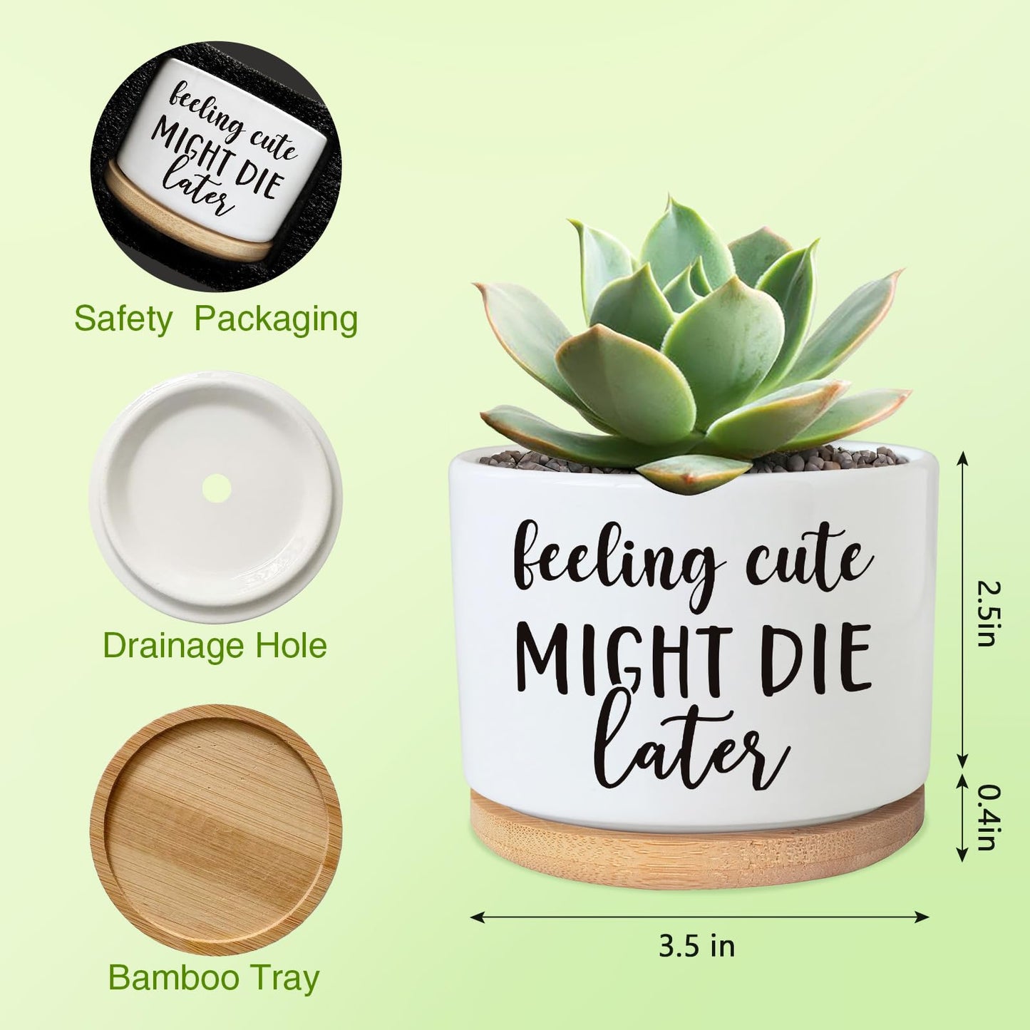 Funny Succulent Plant Pot, Cute 3.5 Inch Small Ceramic Cactus Plant Pot with Drainage, Home Office Desk Planter Pot for Friends Planter Lovers Birthday Christmas Housewarming Gifts (No Plants)
